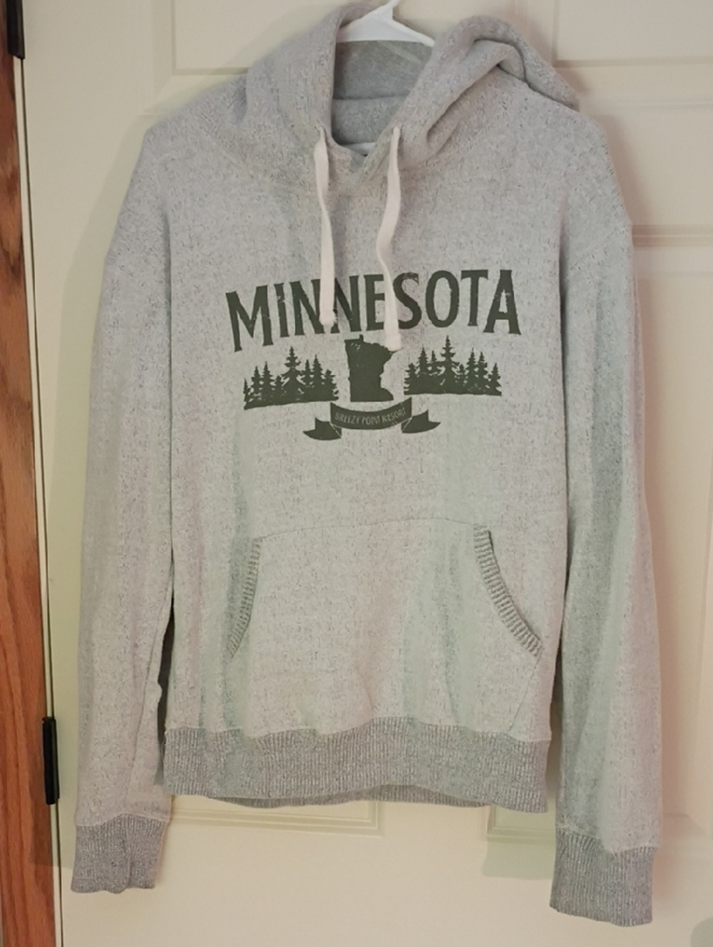 Minnesota Graphic Pullover Hoodie - Light Gray